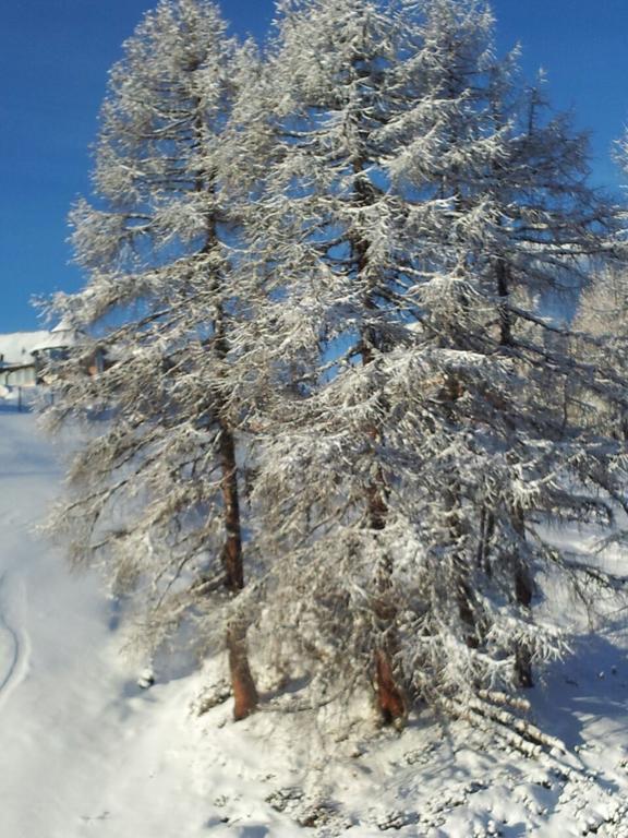 Ferienwohnung Familie Wieser Altenmarkt im Pongau Exteriör bild